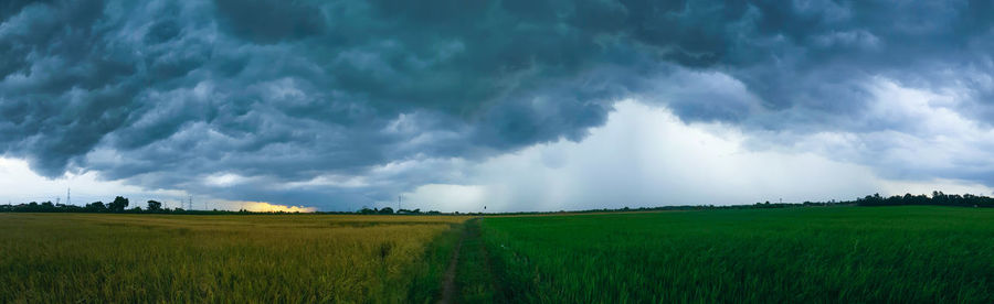 Panoramic view of field against sky
