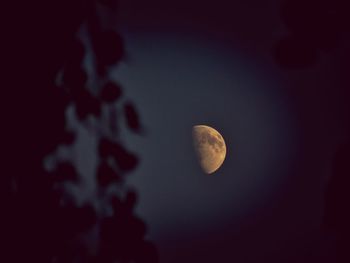 Low angle view of moon in the dark