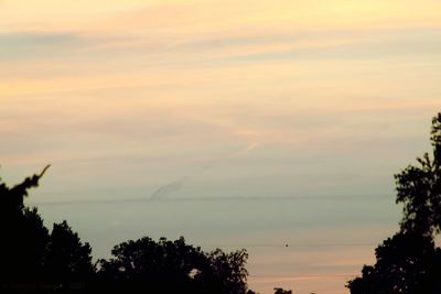 Silhouette trees against cloudy sky during sunset