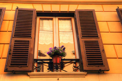 Potted plant against window of building