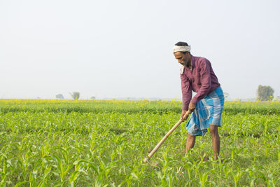 Full length of indian farmer working at corn field