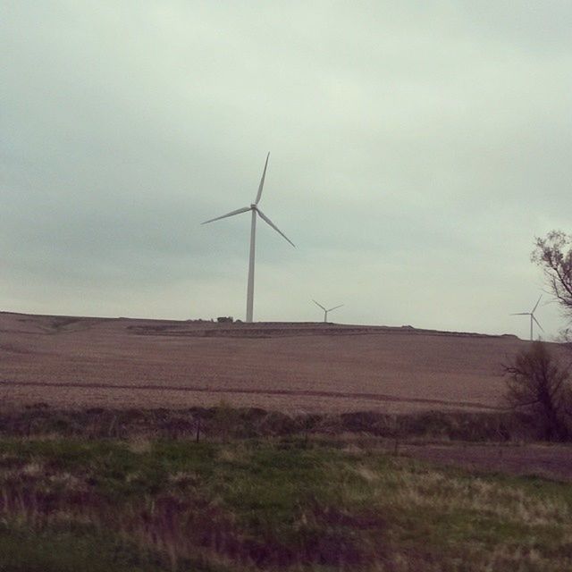wind power, field, wind turbine, alternative energy, windmill, landscape, rural scene, renewable energy, environmental conservation, fuel and power generation, sky, agriculture, tranquil scene, farm, grass, tranquility, nature, technology, scenics, traditional windmill