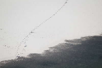 High angle view of bird on land against sea