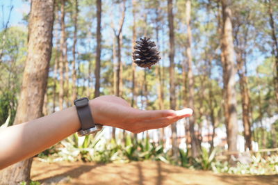 Cropped image of person holding tree trunk against landscape