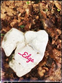 High angle view of heart shape on rock