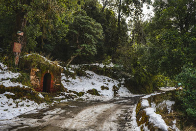 A curved road covered in snow going nowhere in a forest.