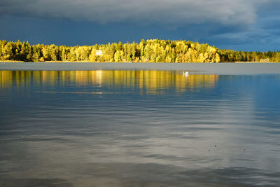 Scenic view of lake by trees against sky