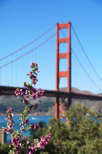 Golden gate national recreation area, san francisco, california