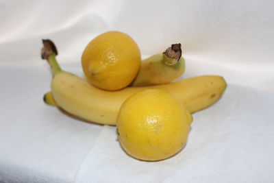 High angle view of fruits on table