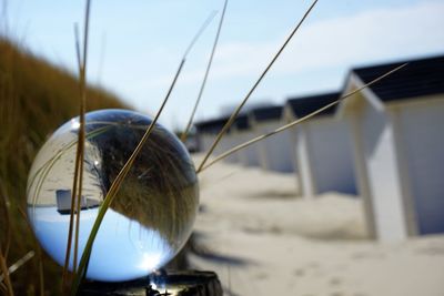 Close-up of beach against sky