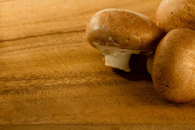 Close-up of mushroom