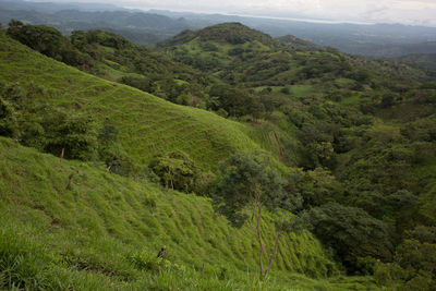 Scenic view of mountains