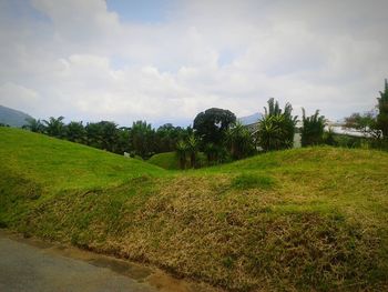 Scenic view of grassy field against cloudy sky