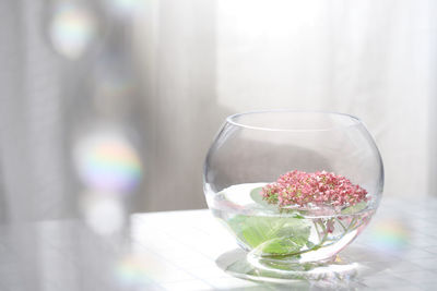 Close-up of glass and white rose on table