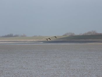 Boat in sea