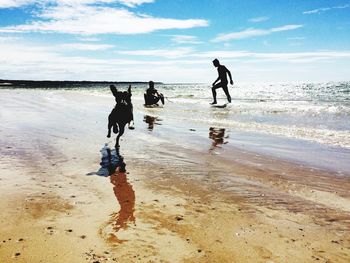 Silhouette of people with dog on beach