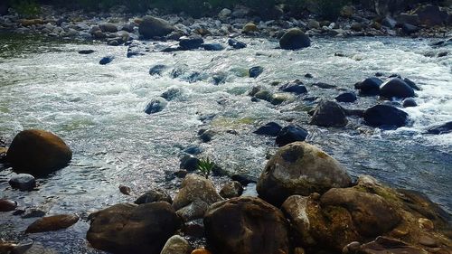 Pebbles on shore