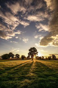 Scenic view of field against sky during sunset