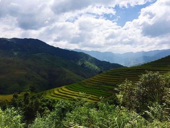 Scenic view of agricultural field against sky