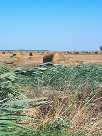 Scenic view of land against clear sky