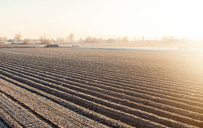 Winter farm field ready for new planting season. preparatory agricultural work for spring.
