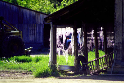 Trees and house in park