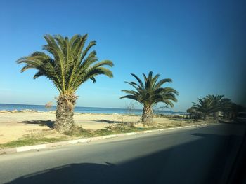 Palm trees by road seen through car window against blue sky