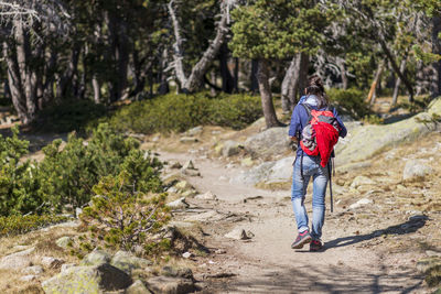 Rear view of woman with backpack walking at forest