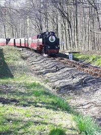 Train on railroad track