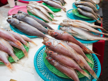 High angle view of fish for sale in market