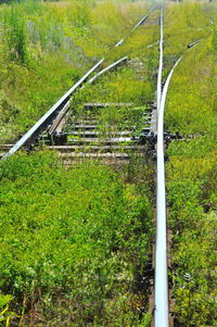 Railroad tracks amidst trees on field