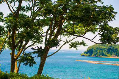 Scenic view of sea against sky