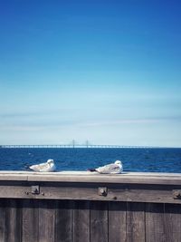 Scenic view of sea against blue sky