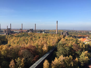 Plants growing on landscape against blue sky