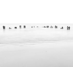 Group of people on beach against clear sky