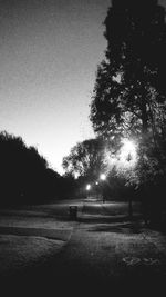 Trees on landscape against clear sky at night