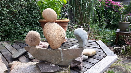 Stone sitting on bench in garden