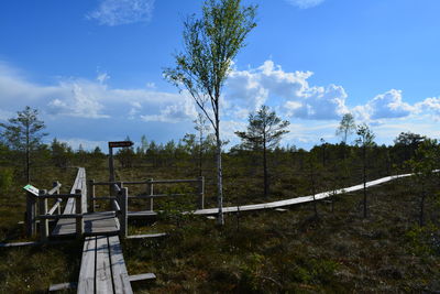 Scenic view of trees against sky