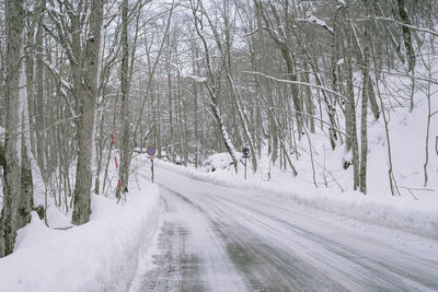 Snow covered road amidst trees during winter