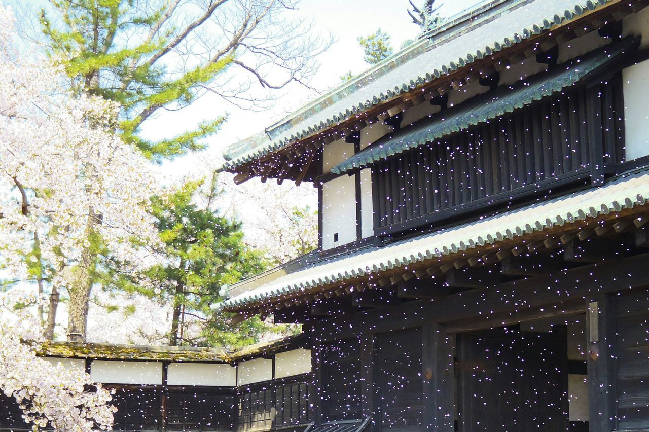 LOW ANGLE VIEW OF HOUSE ROOF