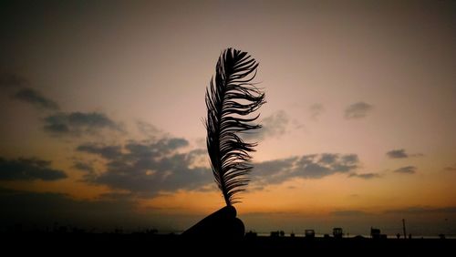 Silhouette tree against sky at sunset