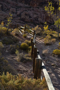 Scenic view of landscape against mountains