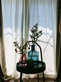 Potted plant on window at home