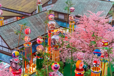 View of flowering plants hanging on wall