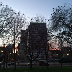 Low angle view of bare trees against sky
