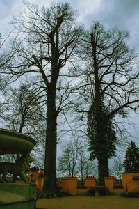 Bare trees and houses on field against sky