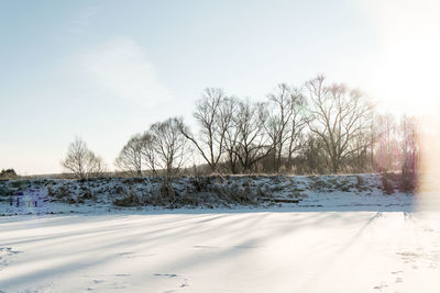 Bare trees on snow covered landscape