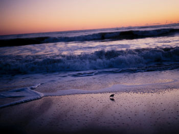 Scenic view of beach during sunset