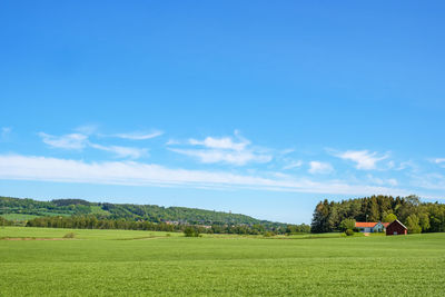 Rural view with a farmhouse on a field