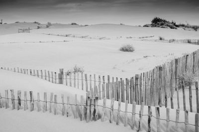 Poles on snow covered landscape